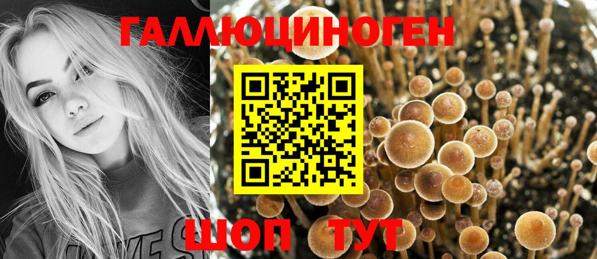 как найти наркотики  Псилоцибиновые грибы GOLDEN TEACHER  Вход с VPN  Наро-Фоминск 
